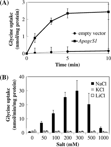 Fig. 2. Uptake of glycine by ApAgcS1.Notes: (A) Time course of glycine uptake by ApAgcS1. B) Effects of NaCl, KCl, and LiCl on glycine uptake by ApAgcS1. ApAgcS1 expressing E. coli JW4166 cells were grown at 37 °C as described in “Materials and Methods.” Glycine uptake was measured after 10 μM [U-14C] glycine was added. In (B), duration of uptake was 1 min. Each value represents the average of three independent measurements and error bars represent standard deviations.