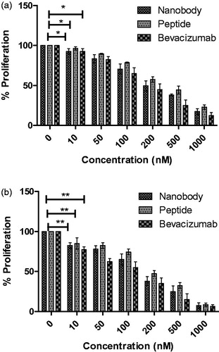 Figure 3. MTT assay results. (a) The effects of nanobody and peptide on the growth of HUVEC cells after 24 h and (b) 48 h. Determined IC50s(24 h) were 200, 300, and 350 nM for bevacizamab, nanobody, and peptide, respectively. Moreover, calculated IC50s(48 h) were 150, 170, and 200 nM for bevacizamab, nanobody, and peptide, respectively. Data are presented as mean ± SD. *p value s= .0292, **p values = .001.