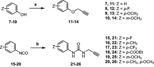Scheme 2. Synthetic approach for the alkyne intermediates 11–14 and 21–26. Reagents and conditions: a) propargyl bromide, K2CO3, dry DMF, 80 °C, 6h; b) propargyl amine, DIPEA, dry ACN, rt, 3h.