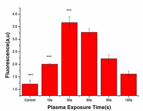 Figure 7. Reactive oxygen species (ROS) concentrations in bacteria after treatment with the plasma-activated liquid (PAL) (F = 214, P < 0.05)