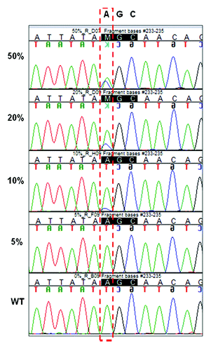 Figure 1. Sensitivity of PCR sequencing: plasmid DNA carrying the c.1474A>C EGFR point mutation was mixed with plasmid wild-type DNA in dilutions of 50%, 20%, 10%, and 5%. Reverse sequencing chromatograms are shown.
