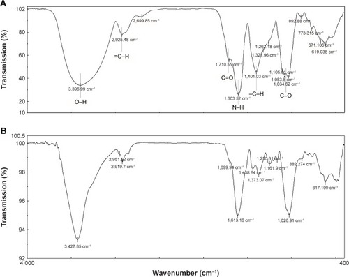 Figure 5 FTIR spectra of (A) walnut green husk extract and (B) AgNPs from 400 to 4,000 cm−1. The similarity of the two spectra confirms the synthesis of AgNPs using the extract.Abbreviations: AgNPs, silver nanoparticles; FTIR, Fourier transform infrared.