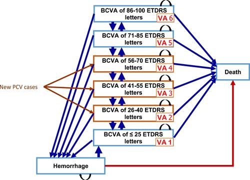 Figure 1 Schematic diagram of the Markov model representing the clinical progression polypoidal choroidal vasculopathy.