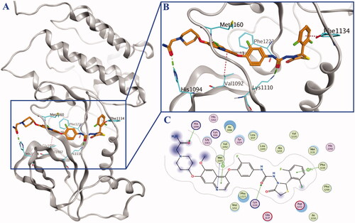 Figure 3. Mimetic binding mode of compound 10a (yellow sticks) within HGFR (PDB ID: 3LQ8). The H-bonds were represented by green dotted line and the H-π was represented by red dotted lines.