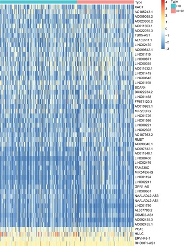 Figure 2 Heat map of differentially expressed lncRNAs in colorectal cancer samples.Notes: Each block represents the color-coded expression levels of differentially expressed lncRNAs in colorectal cancer samples. Orange represents the relatively higher expression, whereas the blue represents the relatively lower expression.Abbreviation: lncRNAs, long noncoding RNAs.