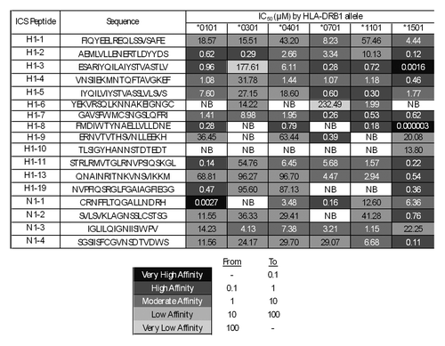 Figure 4. ICS peptide – HLA DR binding affinities. Peptide identifiers and sequences are noted in the first and second columns, respectively. IC50 values in μM units were calculated from curves fitted to dose-dependence competition binding data for each peptide-HLA DR allele pair. Peptide binding affinity is shown according to the following classification: IC50 < 0.1 µM (black), 0.1 µM < IC50 < 1 µM (dark gray), 1 µM < IC50 < 10 µM (gray), 10 µM < IC50 < 100 µM (light gray), IC50 > 100 µM (lightest gray). IC50 values too high to accurately measure under binding conditions tested are considered non-binders (NB; shown in white cells).