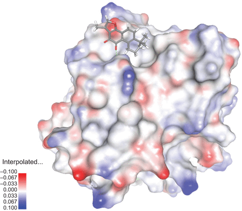 Figure S3 View of T2A docked into the X-ray crystallographic structure of APE1.