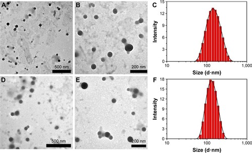 Figure 3 TEM image and size distribution of DOX-loaded Z1/CMCS1-TA/Cu12+ NPs (A–C) and Z1/CMCS1-TA/Ca2+ (D–F). The Z1/CMCS1 NPs were prepared at zein:CMCS ratio of 1:1 w/w with the final metal ion concentration of 0.24 mM (Cu12+ or Ca2+).Abbreviations: CMCS, carboxymethyl chitosan; DOX, doxorubicin hydrochloride; NPs, nanoparticles; TA, tannic acid; TEM, transmission electron microscope; Z1, zein1.