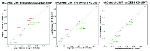 Figure 4. Impact of shRNA-driven genetic ablation of EMT transcription factors on the epithelial-to-mesenchymal (EMT) genetic program in basal/HER2+ JIMT1 cells. Total RNA from shControl-JIMT1, SLUG/SNAIL2 KD-JIMT1, TWIST1 KD-JIMT1, ZEB1 KD-JIMT1 cells was characterized in technical triplicates using a customized PCR array as described in the Materials and Methods section. Figures show representative scatter plots of the difference (≥ 2-fold; green and red symbols indicate downregulation and upregulation, respectively vs. basal expression levels in shControl-transduced JIMT1 cells) in relative transcript abundance of VIM, E-cadherin, N-cadherin, fibronectin, SNAIL1, SLUG/SNAIL2, SNAIL3, TWIST1, ZEB1 and ZEB2. Grey symbols denote fold-change results that need to be validated with a sufficient number of biological replicates—i.e., fold-change results may have greater variations if p value > 0.05, or the p value for the fold-change is either unavailable or relatively high (p > 0.05)—or they are interpretable because gene’s average threshold cycles was either not determined or greater than the defined cut-off value (default 35) in both samples. KD, knockdown