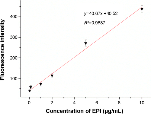 Figure S3 Standard calibration curve of EPI fluorescence in water solutions.Abbreviation: EPI, epirubicin.