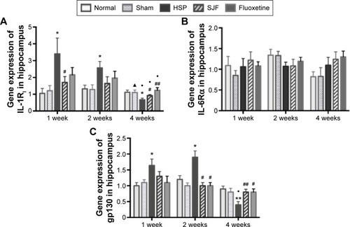 Figure 5 Effect of SJF on gene expression of IL-1RI, gp130, and IL-6Rα of PPD rats with HSP withdrawal.