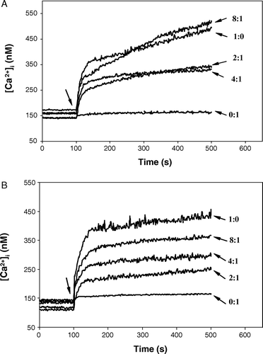 Figure 2.  Effect of cationic lipid/DNA complexes charged positively on [Ca2 + ]i increase in K562 cells. Cells (1×106 cells/ml) resuspended in D-PBS medium at 1 mg/ml glucose in the presence of 1 mM Ca2 +  were loaded with Fluo-3-AM for 30 min at 37°C, and then exposed (arrow) to diC14-amidine/DNA (weight ratio) (Figure 2A) or DOTAP/DNA (weight ratio) (Figure 2B). Complexes were formed as indicated in Materials and Methods. Final concentration of DNA was 5 µg/ml. Intracellular Ca2 +  concentration changes were measured at 37°C using fluorescence spectroscopy as described in Materials and Methods. The same experiments were repeated three times and showed identical results.