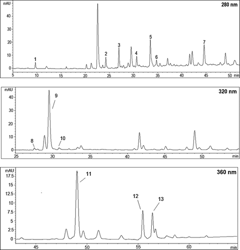 Figure 6. HPLC chromatogram of phenolic compounds in Ekşikara (Vitis vinifera L.) berry cultivated at 1500 m in year 2014 (1:Gallic acid; 2: Procyanidin B1; 3: (+)-Catechin; 4: Procyanidin B2; 5: (-)-Epicatechin; 6: Epigallocatechin; 7: Epicatechin gallate; 8: Gentisic acid; 9: Chlorogenic acid; 10: Caffeic acid; 11: Rutin; 12: Kaempferol-3-glucoside; and 13: Isorhamnetin-3-glucoside).