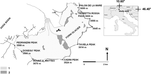 Figure 1 Location (black star) of the AWS1 Forni and the three ablation stakes (black dots); the AWS and the ablation stakes are located in an area of about 50 m2. The light gray areas are used to mark supraglacial debris coverage, the dark gray areas are used to indicate rock exposures and nunataks.