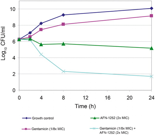 Figure 3. Time-kill graphs to show synergy of AFN-1252 with gentamicin against MSSA 29213.