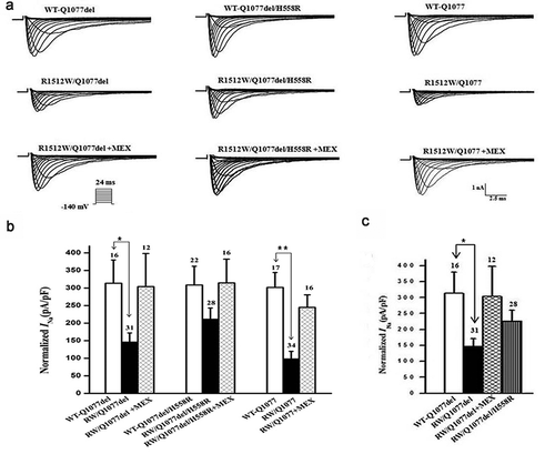 Figure 1. Expression defect for R1512W channels in Q1077del and Q1077 backgrounds and rescue for R1512W/Q1077del by H558R and mexiletine (MEX). (a) Whole-cell current traces from representative R1512W and WT channels in Q1077del and Q1077 backgrounds and R1512W/Q1077del with MEX or H558R. (b) Summary of Na+ current (INa) density in R1512W and WT channels in Q1077del and Q1077 backgrounds and R1512W/Q1077del with MEX or H558R. (c)Comparison of Na+ current (INa) density in R1512W/Q1077del, R1512W/Q1077del with MEX, R1512W/Q1077del/H558R and WT channels. The current amplitude was normalized to the membrane capacitance for each cell. *p value below 0.05/9 = 0.0055 (Bonferroni correction) indicates the INa density was significantly different compared R1512W without MEX to with MEX and WT in Q1077del background. **p < 0.0055 indicates the INa density was significantly different compared R1512W without MEX to with MEX and WT in Q1077 background. The INa density of R1512W was not significantly different compared to WT in Q1077del/H558R background