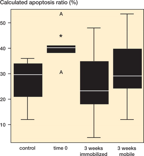 Figure 5. Calculated apoptosis ratio (in %). Bars marked with an asterisk are significantly different from untreated controls.