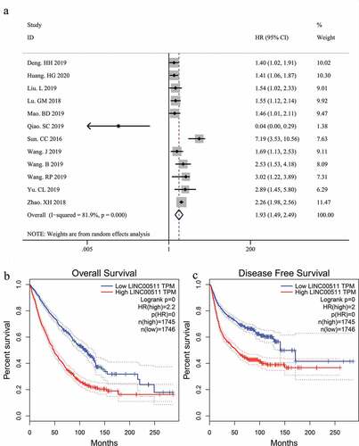 Figure 2. Forest plots of the association between LINC00511 expression level and overall survival in patients with malignant tumors(a); Kaplan-Meier survival analysis of LINC00511 expression for overall survival (b) and disease-free survival (c).