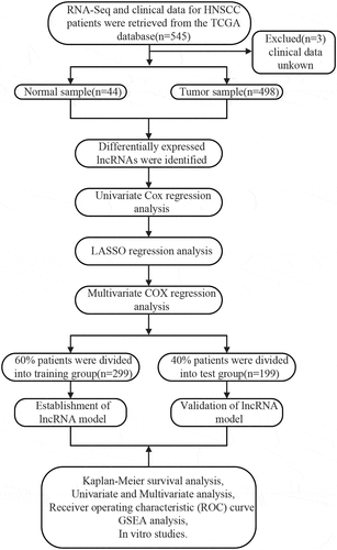Figure 1. The flow chart for the methods of the bio-information analysis, which clearly showed the process of the identification of prognostic lncRNA signature in HNSCC