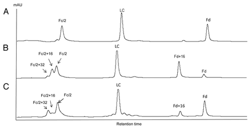 Figure 4. IdeS domain mapping of mAb A2 by RP LC-MS. A, untreated; B, tBHP treated; C, exposed to 0.5X ICH light exposure level.