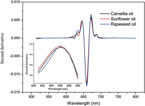 Figure 3. Second derivative laser-induced fluorescence spectra of oils, including camellia, sunflower and rapeseed oils. Inset graph is partial enlargement of second derivative laser-induced fluorescence spectra of the three pure oils ranging from 641 to 650 nm.Figura 3. Espectros fluorescentes de segunda derivada inducidos por láser de aceites, incluyendo aceites de camelia, girasol y canola. La gráfica del recuadro es una ampliación parcial de los espectros fluorescentes de segunda derivada inducidos por láser de los tres aceites puros, oscilando entre 641 y 650 nm.