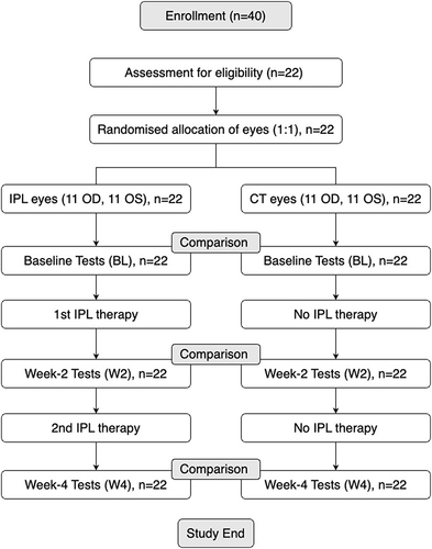 Figure 1 The flowchart of the experimental framework of this study.