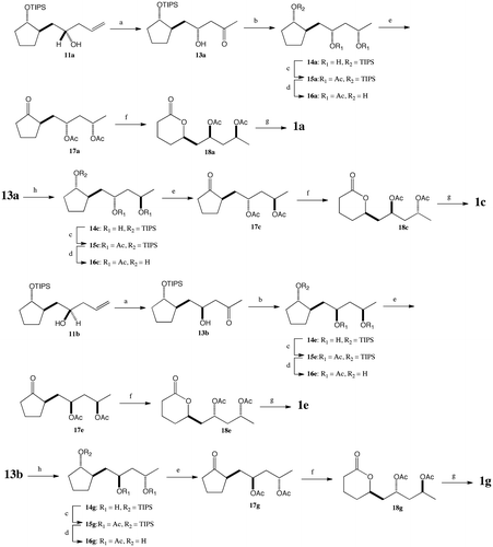 Scheme 3. Syntheses of cryptocarya diacetate (1a) and its stereoisomers 1c, 1e, and 1g. (a) PdCl2, Cu(OAc)2 · H2O, O2, DMF, r.t., 48 h (13a: 48%, 13b: 51%). (b) Et2BOMe, NaBH4, THF-MeOH, −70 °C, 3 h, warmed to 0 °C (14a: 90%, 14e: 88%). (c) Ac2O, DMAP, pyridine, r.t., 12 h (15a: 95%, 15c: 92%, 15e: 98%, 15g: 94%). (d) n-Bu4NF, THF, r.t., 12 h (16a: 67%, 16c: 77%, 16e: 73%, 16g: 78%). (e) PCC, MS 4A, CH2Cl2, r.t., 12 h (17a: 76%, 17c: 75%, 17e: 80%, 17g: 79%). (f) MCPBA, Na2HPO4–NaH2PO4 buffer (pH 8.0), CHCl3, r.t, 12 h (18a: 70%, 18c: 74%, 18e: 69%, 18g: 69%). (g) (C6H5Se = O)2O, ClC6H5, 130 °C, 72 h (1a: 84%, 1c: 80%, 1e: 81%, 1g: 85%). (h) Me4NHB(OAc)3, MeCN, AcOH, −40–0 °C, 1 h (14c: 76%, 14g: 79%).