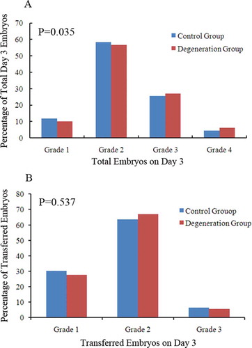 Figure 1. Distribution of day 3 embryo grades. Day 3 embryos were assessed and divided into four different grades according to the ASEBIR embryo assessment criteria [Alpha Scientists in Reproductive Medicine and ESHRE Special Interest Group of Embryology, et al. Citation2011]. Grade 1 and grade 2 embryos were considered as high quality embryos, grade 1, grade 2, and grade 3 embryos were considered as available embryos, while grade 4 embryos were usually deserted. (A) shows that grade 1 and grade 2 embryo rates decreased while grade 3 and grade 4 embryo rates increased as a function of total day 3 embryos in the degeneration group (p = 0.035). (B) shows there was no significant difference in the distribution transferred embryo grades on day 3 between the two groups (p = 0.537).