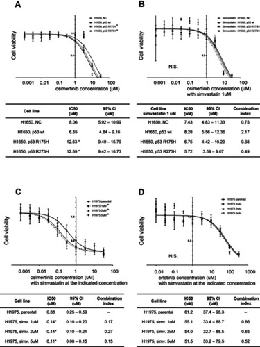 Figure 3 Drug sensitivity assay in H1650 and H1975 cells. Cell viabilities in response to osimertinib in control vector-, wild-type p53-, p53 R175H-, and p53 R273H-transfected H1650 cells without (A) and with (B) simvastatin treatment. Mutant p53 significantly decreased sensitivity to osimertinib and this mutant p53-induced acquired drug resistance was eliminated by simvastatin. (C) Simvastatin-treated H1975 cell viabilities in response to osimertinib. The loss of sensitivity of H1975 cells to osimertinib was significantly reversed by simvastatin. (D) Simvastatin-treated H1975 cell viabilities in response to erlotinib. Simvastatin did not reverse the loss of sensitivity of these cells to erlotinib. Experiments were performed in triplicate. IC50 values were calculated using Prism software. n=3, * p<0.05 vs control (extra sum of squares F test). Combination indices were calculated using Compusyn software. Combination index <1 indicated a synergistic effect, and index >1 indicated am antagonist effect. Abbreviations: NC, negative control; wt, wild type.