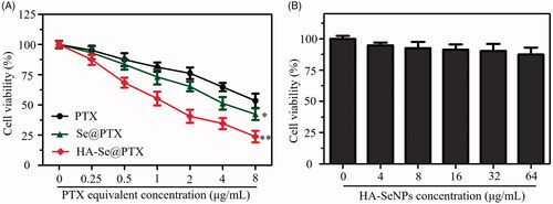 Figure 4. (A) The cytotoxicity of PTX, Se@PTX and HA-Se@PTX at various PTX equivalent concentrations against A549 cells. (B) The cytotoxicity of HA-SeNPs against A549 cells. *p < .05, **p < .01 vs. PTX group.