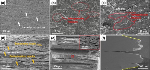 Figure 2. (a) The SEM image of hot-rolled WY alloy along RD-ND surface. SEM images of tensile fracture surfaces at (b) 100 °C, (c) 150 °C, (d) 200 °C, (e, f) 600 °C, and (f) is along RD-ND surface. RD, ND denote rolling and normal direction, respectively.
