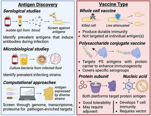 Figure 2. Considerations for antigen and vaccine type selection.