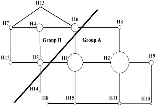 Figure 4. Haplotype network of B. japonicus (Size of the circle is the proportional to the relative frequency of the haplotypes).