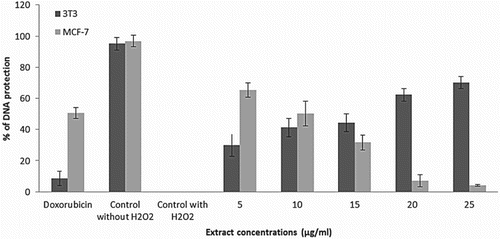 Figure 4. Percentage of DNA protection in extract-treated 3T3-L1 and MCF-7 cells relative to hydrogen peroxide (H2O2)-treated and untreated negative controls. 3T3-L1 and MCF-7 cells were treated with various concentrations of the extract (5, 10, 15, 20 and 25 µg/ml) or 0.2 µg/ml of doxorubicin, as the positive control. Untreated cells and cells treated with 100 mM of H2O2 served as negative controls. Data are shown as mean ± SD. *p < 0.05, **p < 0.01.