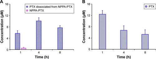 Figure 4 (A) The PTX, NPPA-PTX, and dissociated PTX from NPPA-PTX levels (µM) in tumor tissues after a single intravenous administration of NPPA-PTX@PEG NPs at a dose of 18.11 mg/kg (equimolar to 15 mg/kg PTX) or (B) Taxol at a dose of 15 mg/kg to MDA-MB-231 tumor-bearing nude mice. (Means ± SD, n=3).Abbreviations: NPPA, 3-(2-Nitrophenyl) propionic acid; PTX, paclitaxel.