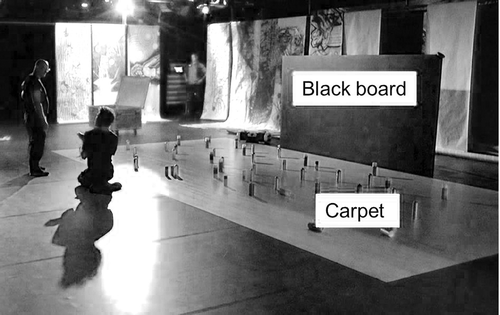 Figure 6. Spatial relation of carpet and blackboard