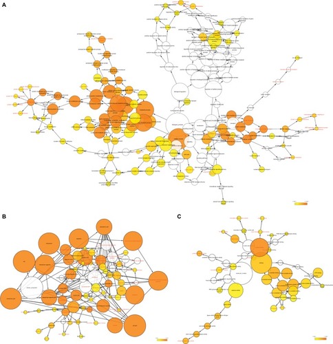 Figure 10 GO analysis of functional enrichment by BiNGO for all the correlated genes.Note: (A) BP outcomes; (B) CC outcomes; and (C) MF outcomes of GO analysis of functional enrichment by BiNGO.Abbreviations: BiNGO, Biological Networks Gene Ontology; BP, biological process; CC, cellular component; DCTN, dynactin; ER, endoplasmic reticulum; GO, gene ontology; MF, molecular function; MLL, myeloid/lymphoid leukemia; SRP, signal recognition particle; TFIIH, transcription factor II H.