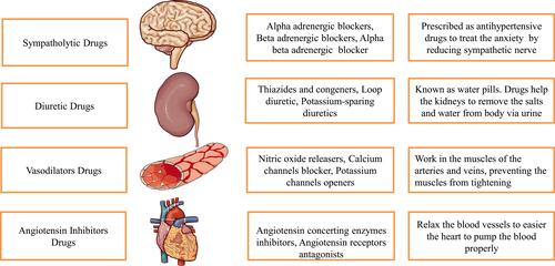 Figure 1 Anti-hypertensive drugs used to relieve the hypertensive patients by their action to respective body organs and physiological process.