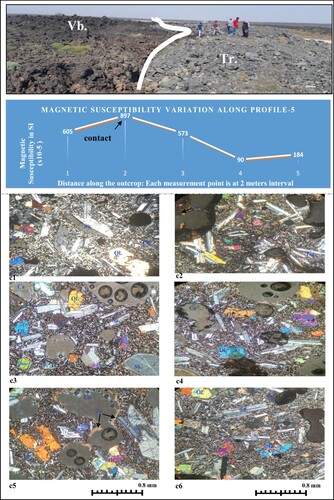 Figure 9. Variation of magnetic susceptibility along profile-5. A photograph of this profile is given on top; Thin section microphotographs of trachytoid basaltic rocks (B4 of [Citation8]) in crossed nicols are given at bottom c1–c6, Tr = Trachytoid and Vb = Vesicular basalt; Symbols as Figure 5.