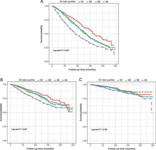 Figure 4 Kaplan-Meier survival curve for all-cause (A), CVD (B and C) cancer-related mortality in CHD patients.