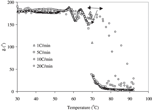 Figure 8 Effect of heating rate on phase angle of 10% egg white dispersions.