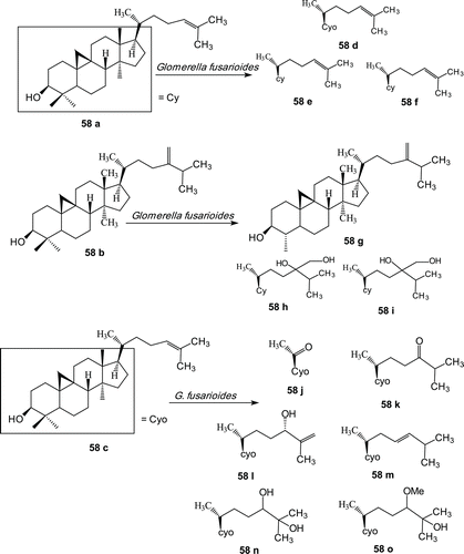 Scheme 19.  Structures of cycloartenol (58a), 24-methylene cycloartenol (58b), cycloartenol (58c) and metabolites (58d–58o).
