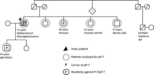 Figure 2. Pedigree of patient 2 with WM with a P-7 specific IgM paraprotein carrying the pP-7.
