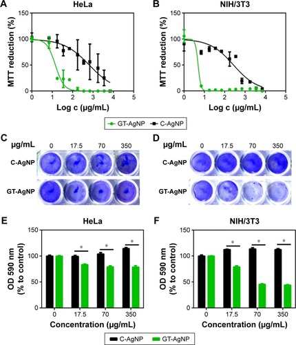 Figure 2 Antiproliferative and cytotoxic effects of green-synthesized silver nanoparticles on mammalian cell lines.Notes: C-AgNP and GT-AgNP treatments inhibit the proliferation of human HeLa (A) and mouse NIH/3T3 fibroblast cells (B). Cytotoxic effects of C-AgNP and GT-AgNP treatments were determined on HeLa (C) and NIH/3T3 (D) cells using crystal violet staining. Crystal violet was resolubilized and the absorbance of each sample was determined spectrophotometrically (E, F). *P≤0.001, two-way ANOVA.Abbreviations: ANOVA, analysis of variance; C, coffee; GT, green tea; NP, nanoparticle; OD, optical density.