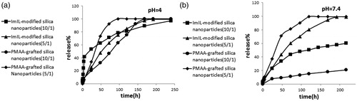 Figure 7. (a) Cumulative release of MTX from ImIL-MSNs and ImIL-MSNs-PMAA under a physiological environment (37°C) and at different pH 4 (a) and 7.4 (b).