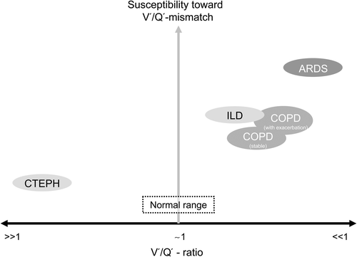 Figure 2.  Diagram depicting different examples of disease entities that show varying degrees of V′/Q′-ratios (or V′/Q′-abnormalities) and susceptibility toward further V′/Q′-mismatch, for example, after treatment with vasodilators. ARDS: Acute respiratory distress syndrome; COPD: chronic obstructive pulmonary disease; CTEPH: chronic thromboembolic pulmonary hypertension; ILD: interstitial lung disease.