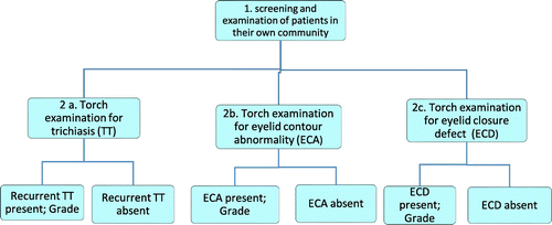 Figure 2. Examination protocol.