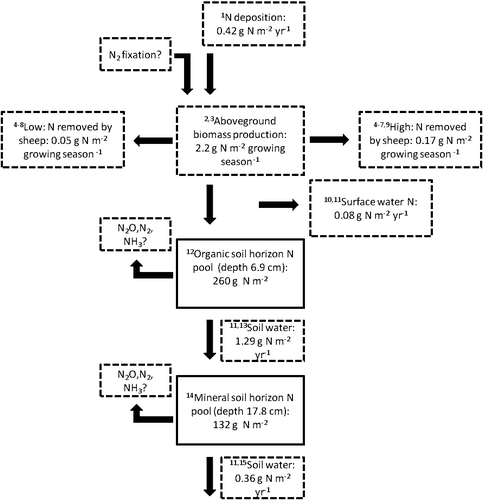 Figure 5 Nitrogen budget for grassland habitats at Hol, Norway. The figure shows average pools (closed boxes) and fluxes (dashed boxes) of nitrogen. Input data and assumptions for the N budget are listed below. We have no data on N2O, N2, or NH3 emissions or N2 fixation. Input data and assumptions: 1. Average N deposition is 0.416 g m−2 year−1 (CitationAas et al., 2008). 2. Aboveground biomass is based on average biomass production in 2008 on grassland plots (n  =  44) close to “location C plots” (G. Austrheim, unpublished material). 3. N-content of plants (% by weight) is based on average values from location C (graminoids, 1.1%; herbs, 2.3%; and woody species, 1.8%) and unpublished material for cryptogams sampled in 2009 (1.1%). 4. 21% of the net (i.e. excluding impediment) area (Fig. 1) consists of snowbeds (12%) with graminoids and alpine meadow communities (9%) dominated by graminoids and herbs. 5. Lambs gain weight and feed in grassland habitats only (corresponding to an average net lamb density of 3.7 lambs/0.052 km2  =  71 lambs km−2; and 11 lambs/0.044 km2  =  250 lambs km−2 grassland for the low and high grazing densities, respectively. 6. Lambs gain 22.87 kg (low density) and 20.15 kg (high density) weight during the growing season (Mysterud, unpublished material). 7. All weight gain of the lambs is in form of meat, with an average protein content of 212.8 g kg meat−1 (CitationÅdnøy et al., 2005) corresponding to 212.8/6.25  =  34 g N kg meat−1 (i.e. 3.4%). 8. Removal of N in form of weight gain at low grazing density: (71 lambs km−2  =  70 × 106 lambs m−2 × 22.87 kg lamb−1 × 0.034 [N-content]) × 1000  =  0.05 g N m−2. 9. Removal of N in form of weight gain at high grazing density: (250 lambs km−2  =  250 × 106 lambs m−2 × 20.15 kg lamb−1 × 0.034 (N-content)] × 1000  =  0.17 g N m−2. 10. Surface water fluxes are based on the mean N-concentration of water samples collected 2006–2009 in Hol (mean 0.08 mg L−1; Martinsen, unpublished material). 11. Yearly precipitation; 1000 mm (CitationEvju et al., 2009). 12. O-horizon N-pool is based on average values of the data sets from location A (sampled 18 June–11 August 2007 using 100 cm3 steel rings; n  =  27; Martinsen, unpublished material) and C (n  =  88;see Material and Methods). 13. Soil water fluxes from the O-horizon are based on locations A (altitude levels 2 and 3) and B (see Material and Methods). 14. Mineral soil N-pool is based on average values from location A (sampled 18 June–11 August 2007 using 100 cm3 steel rings; n  =  27; Martinsen, unpublished material) 15. Soil water fluxes from the mineral-horizon are based on location A (altitude levels 2 and 3) (soil water samples from the mineral horizon were in addition to O-horizon water samples [see Material and Methods) sampled in 2008–2009; Martinsen, unpublished material).