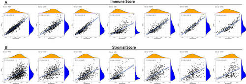 Figure 5 Relationships of CD48 expression and different components in TME. (A) Relationship of CD48 expression and immune components in some cancer. (B) Relationship of CD48 expression and stromal components in some cancer.