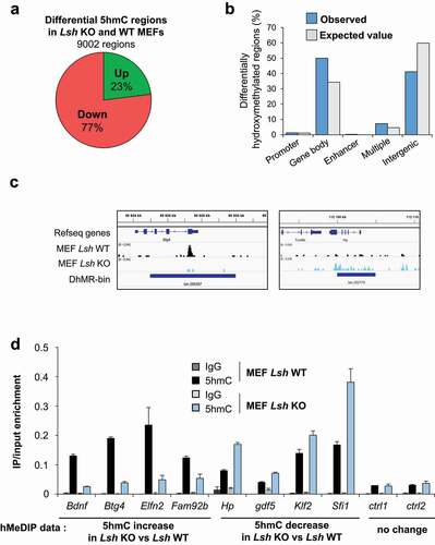 Figure 4. 5hmC level is impaired in Lsh KO MEFs cells at specific genomic loci.